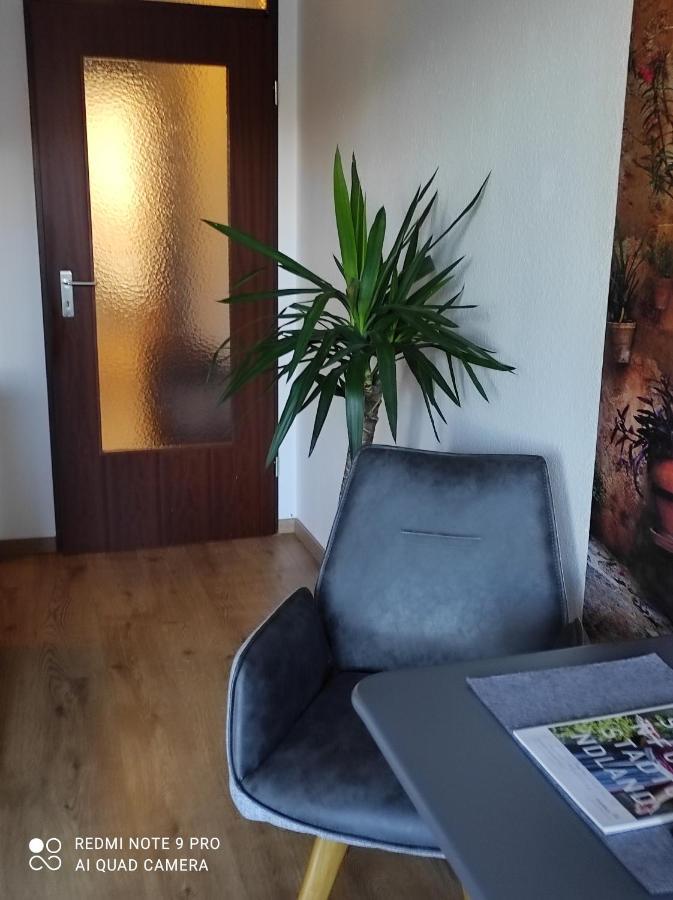 1 Zimmer Apartment Panorama Schweinfurt Exterior foto